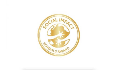 Social Impact School image