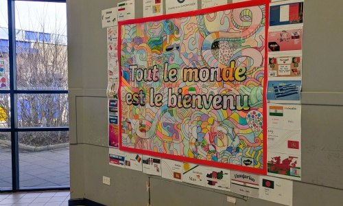 Diversity Display image